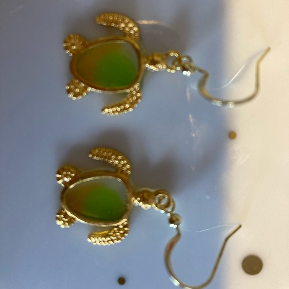 Handmade earrings - resin filled Turtles. Message- find peace in your own shell. - Picture 2 of 3